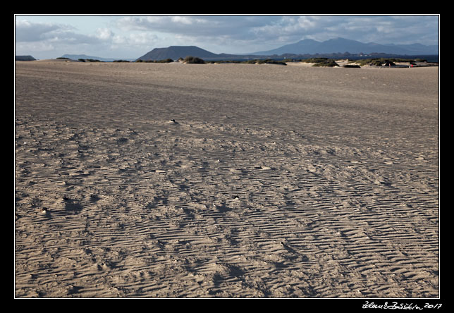 Fuerteventura - Corralejo - Parque Natural de Corralejo