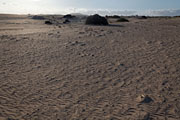 Fuerteventura - Corralejo - Parque Natural de Corralejo