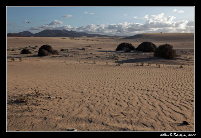 Fuerteventura - Corralejo - Parque Natural de Corralejo