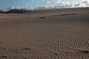 Fuerteventura - Corralejo - Parque Natural de Corralejo