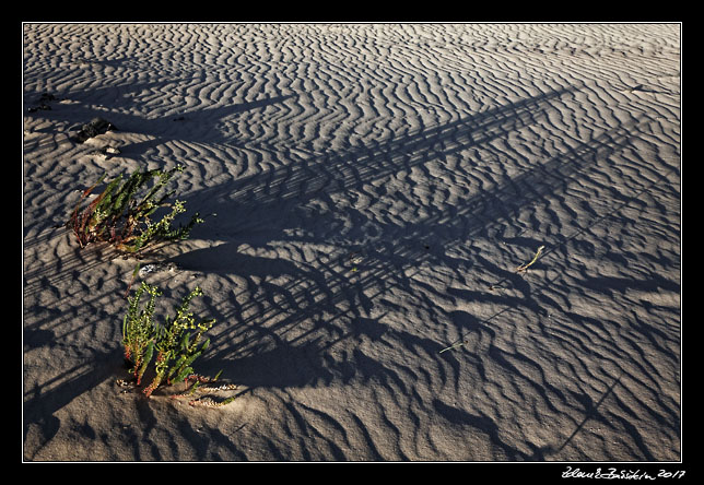 Fuerteventura - Corralejo - Parque Natural de Corralejo