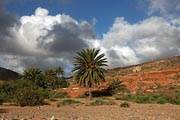  Fuerteventura - Barranco de las Penitas -