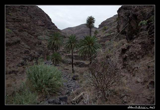 La Gomera  - Barranco de Argaga