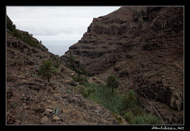 La Gomera  - Barranco de Argaga