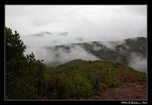 La Gomera - Garajonay -