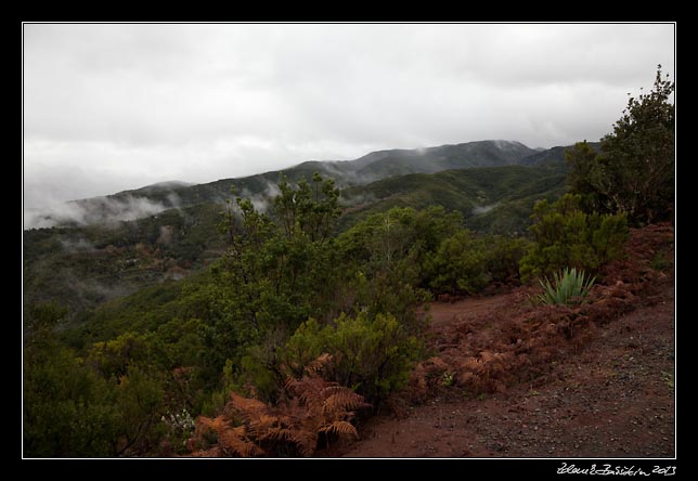 La Gomera - Garajonay -