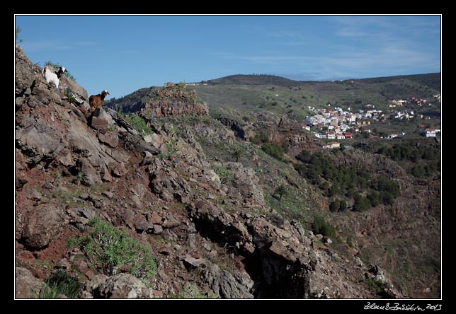 La Gomera - Arure - Arure