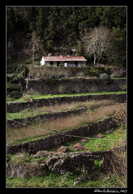 La Gomera - El Cedro - El Cedro