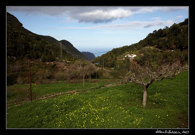 La Gomera - El Cedro - El Cedro