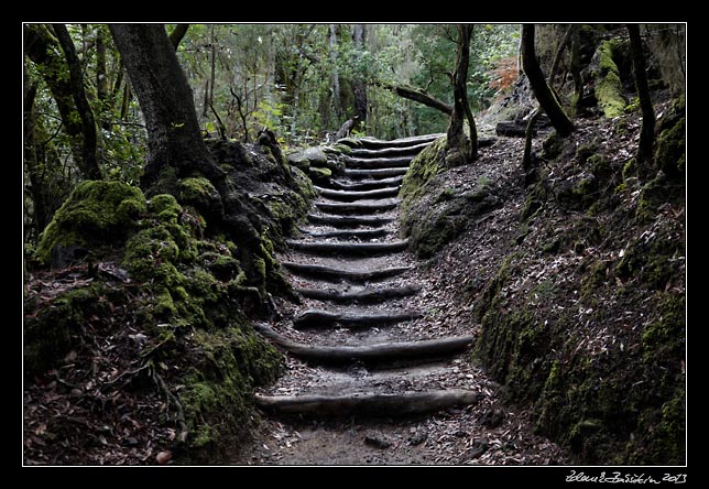 La Gomera - El Cedro - Barranco del Cedro