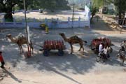fuel transport in Chittaurgarh