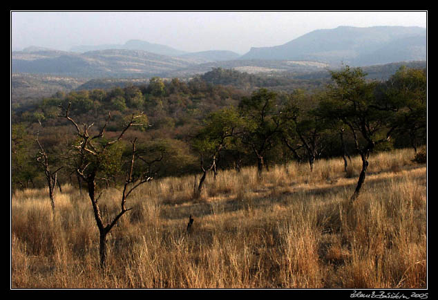 Ranthambore national park