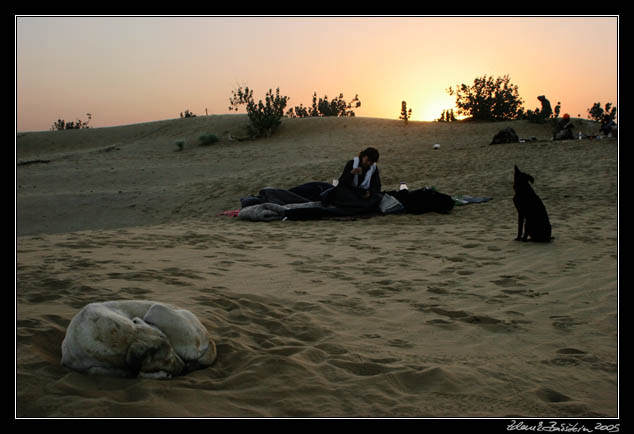 Thar desert