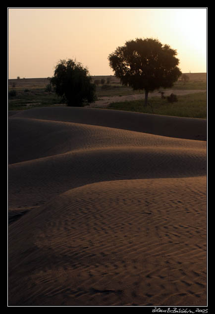 Thar desert