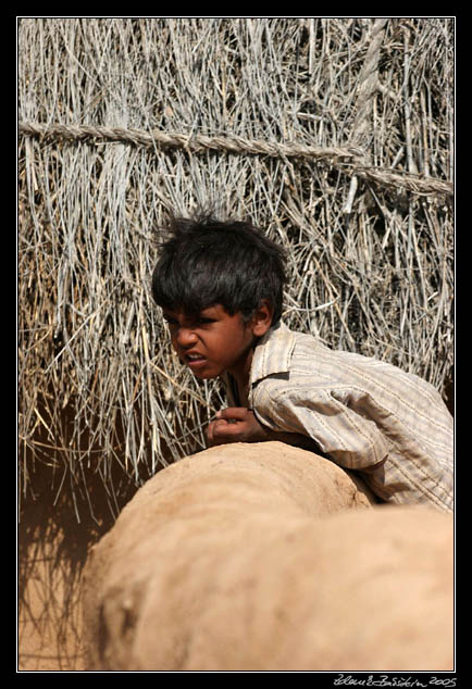 Thar desert