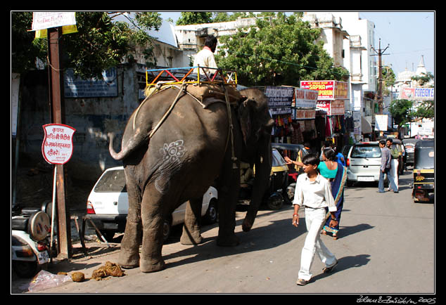 Udaipur