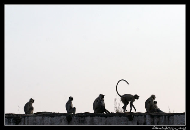 Udaipur