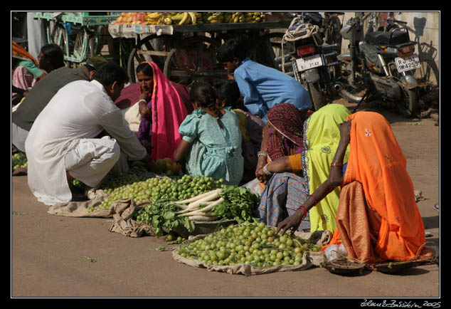 Pushkar fair