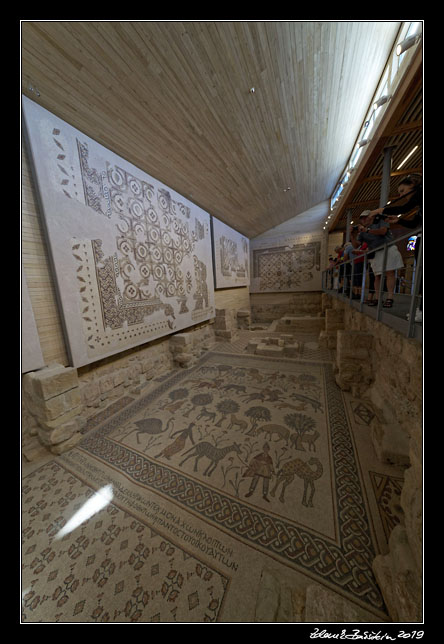 Mt. Nebo - Basilica of Moses - mosaics
