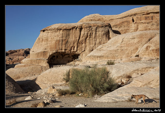Petra - a rock with inscriptions