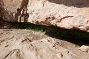Wadi Rum - Lawrence`s spring