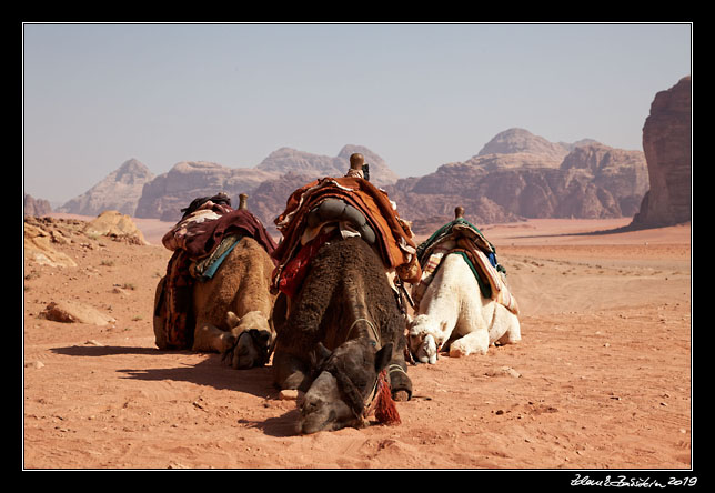 Wadi Rum -