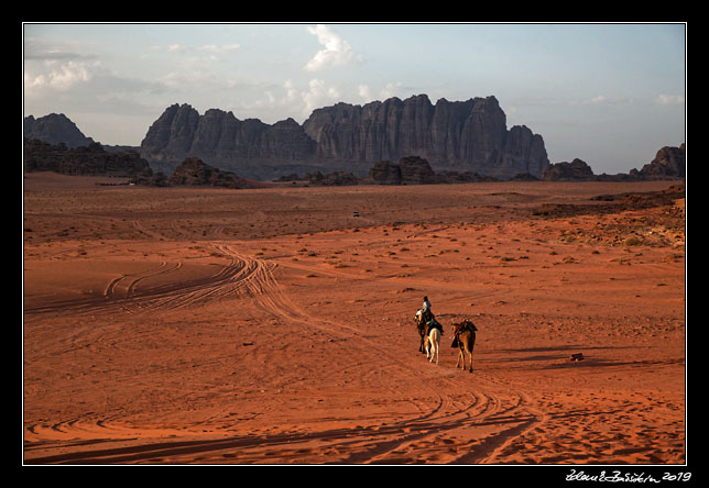 Wadi Rum - goodbye, camels