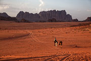 Wadi Rum - goodbye, camels