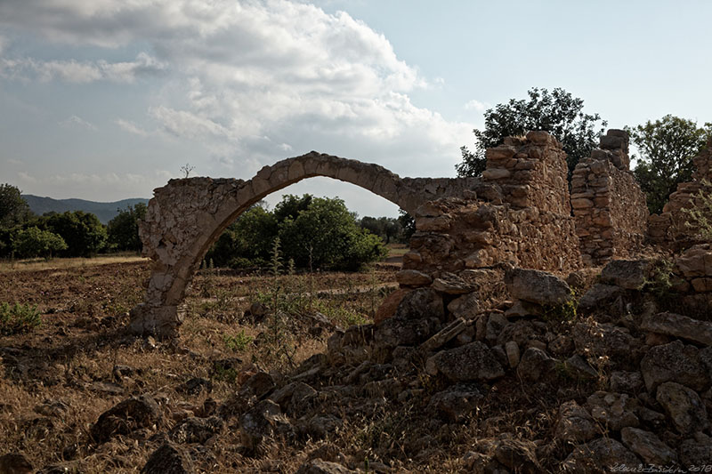 North Cyprus - Eleousia -