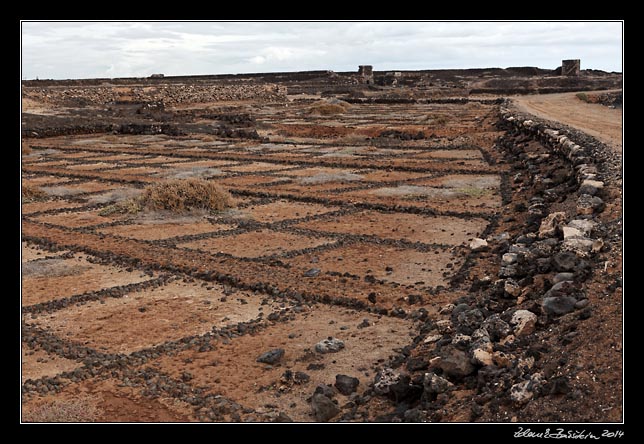 Lanzarote - an old saline at Los Cocoteros