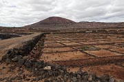 Lanzarote - an old saline at Los Cocoteros