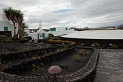 Lanzarote - Monumento al Campesino