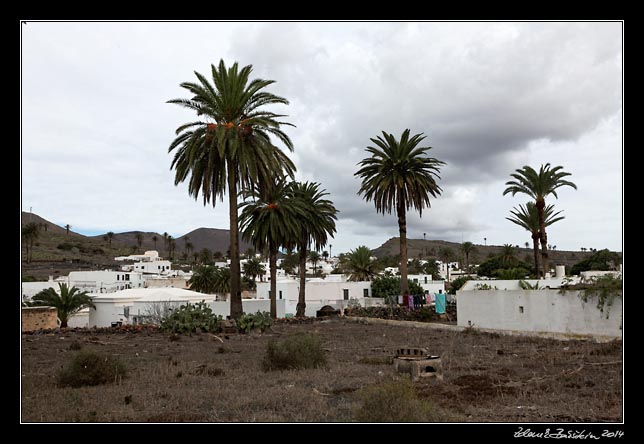 Lanzarote - Haria