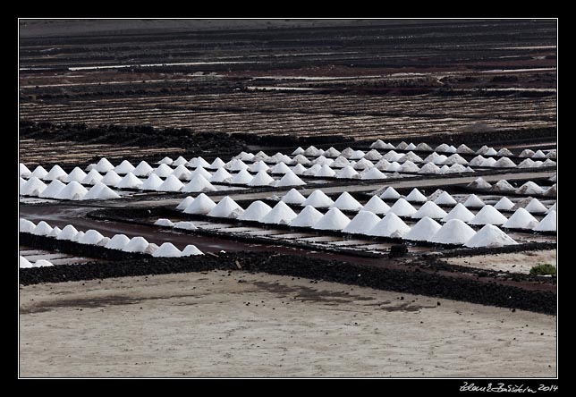 Lanzarote - Salinas Janubios