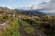 La Palma - south - Villa de Mazo