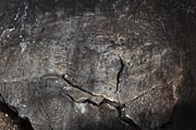 La Palma - south -  Cueva de Belmaco - petroglyphs