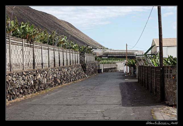 La Palma - south - ...bananas