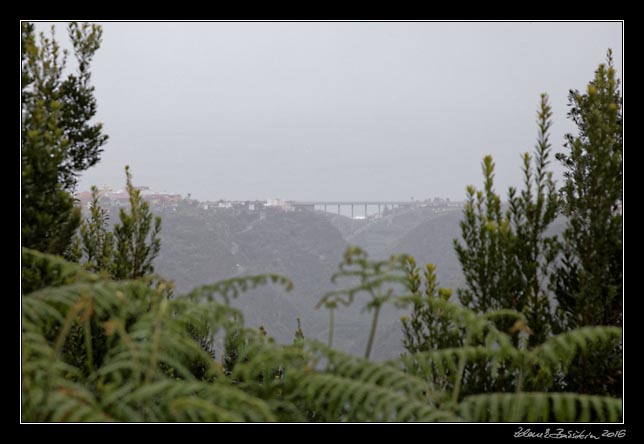 La Palma - NorthEast - Los Tilos - Mirador de la Baranda