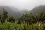 La Palma - NorthEast - Los Tilos - Mirador de la Baranda