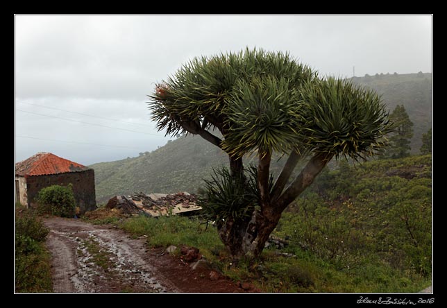 La Palma - NorthWest - Cueva de Agua