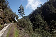 La Palma - Los Tilos -