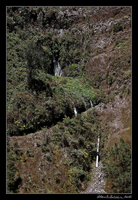 La Palma - Los Tilos - Fuente caldera de Marcos