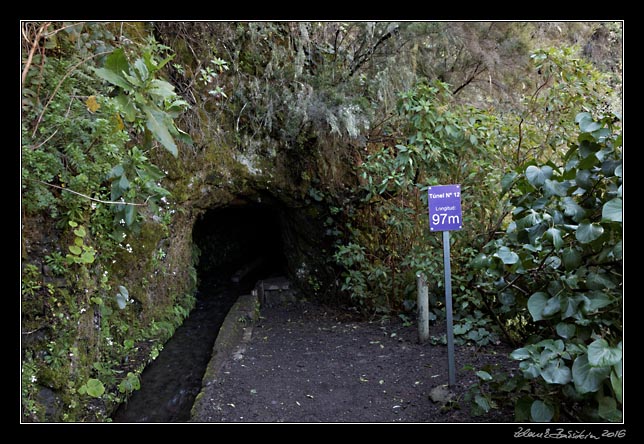 La Palma - Los Tilos -