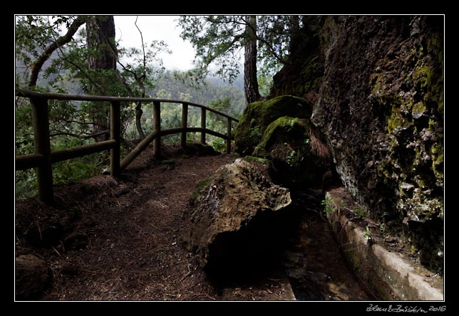 La Palma - Los Tilos -