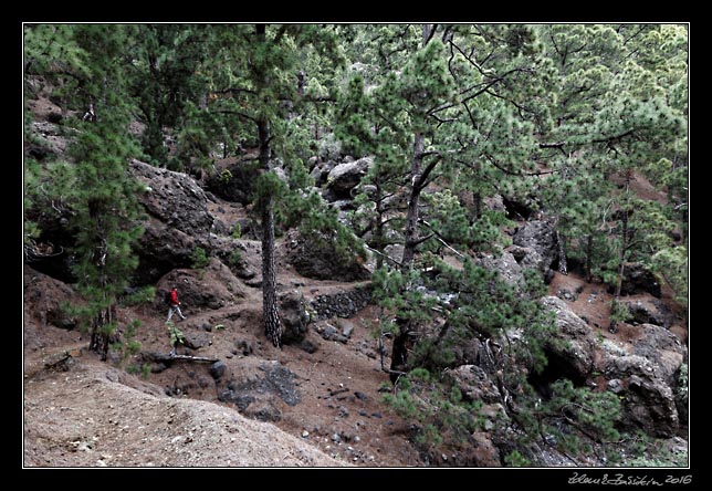 La Palma - Caldera Taburiente -