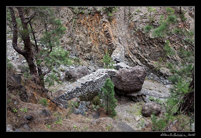 La Palma - Caldera Taburiente -