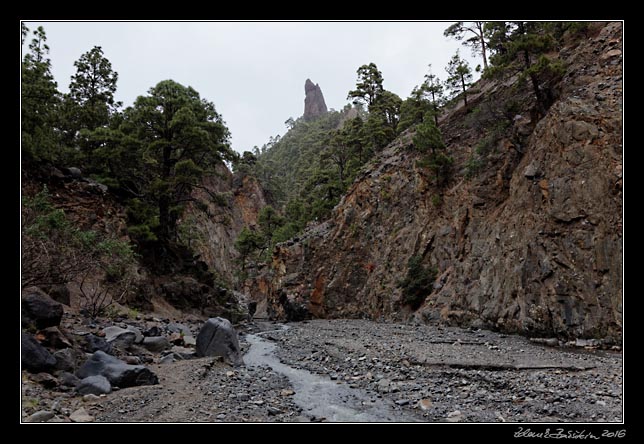 La Palma - Caldera Taburiente -