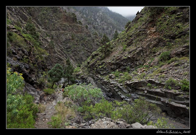 La Palma - Caldera Taburiente -