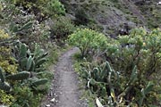 La Palma - Caldera Taburiente -