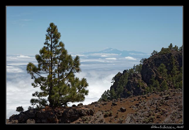 La Palma - Cumbre Vieja -